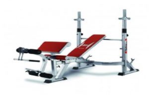 Abdominal bench