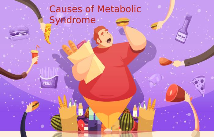 Causes of Metabolic Syndrome