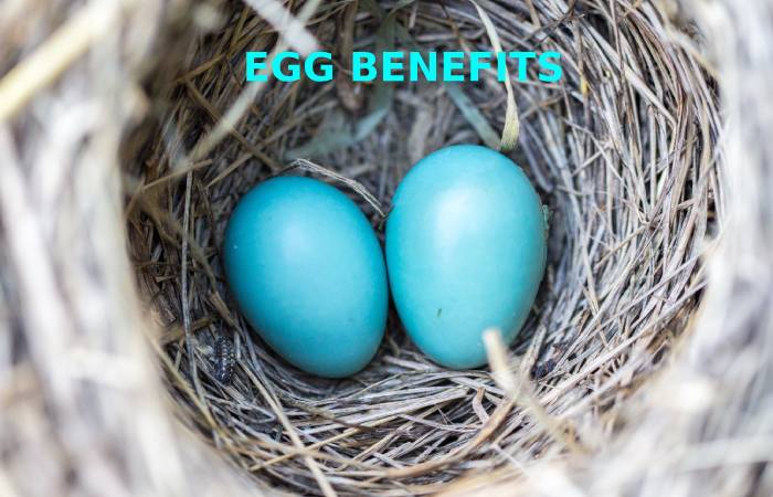 EGG BENEFITS