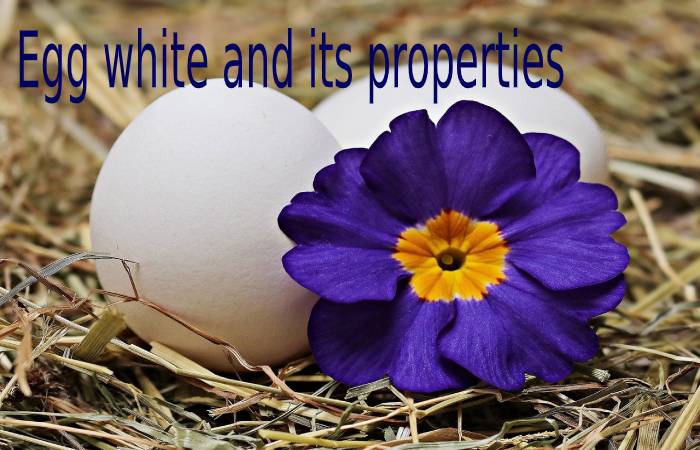 Egg white and its properties