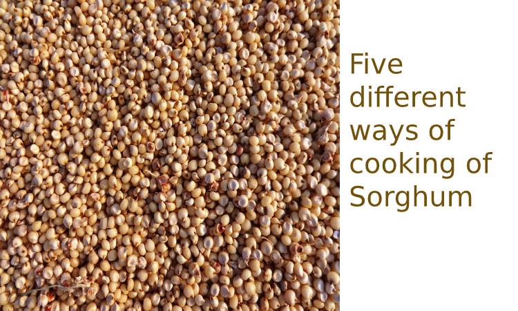 Five different ways of cooking of Sorghum