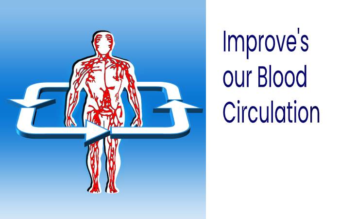 Improve our Blood Circulation