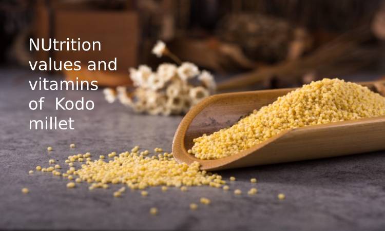 NUtrition values and vitamins of Kodo millet