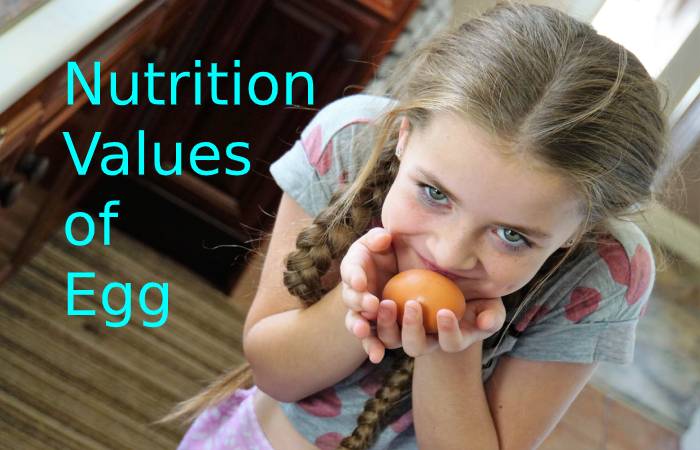 Nutrition Values of  Egg