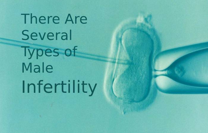 There are several types of male infertility