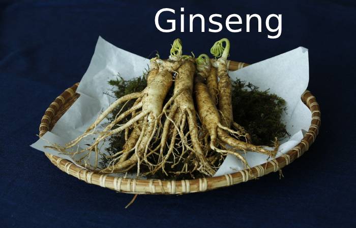 ginseng