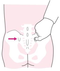 sacroiliac joint