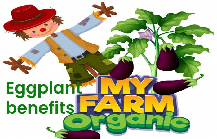 Eggplant benefits