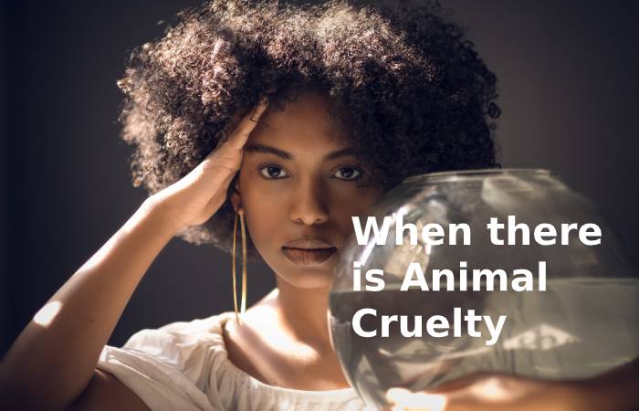 When there is Animal Cruelty