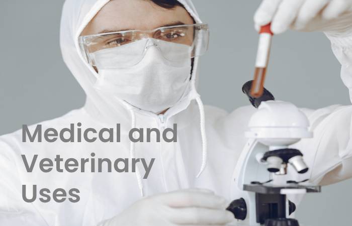 Medical and Veterinary Uses