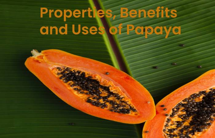 Properties, benefits and uses of papaya