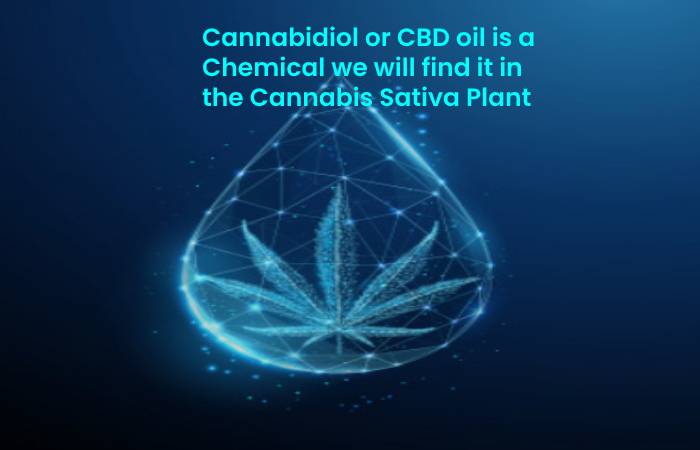 Cannabidiol or CBD oil