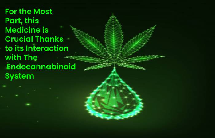 Interaction with The  Endocannabinoid System