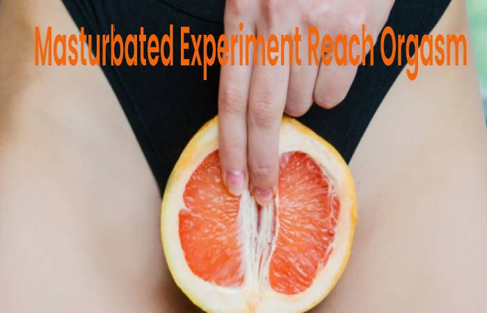 Masturbated Experiment Reach Orgasm