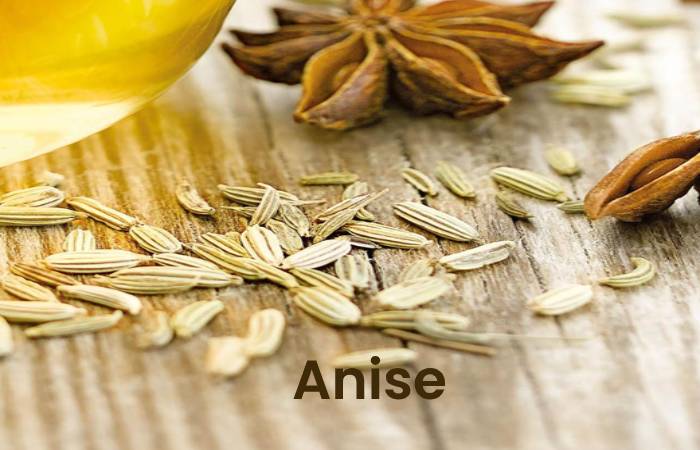 Anise