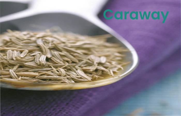 Caraway