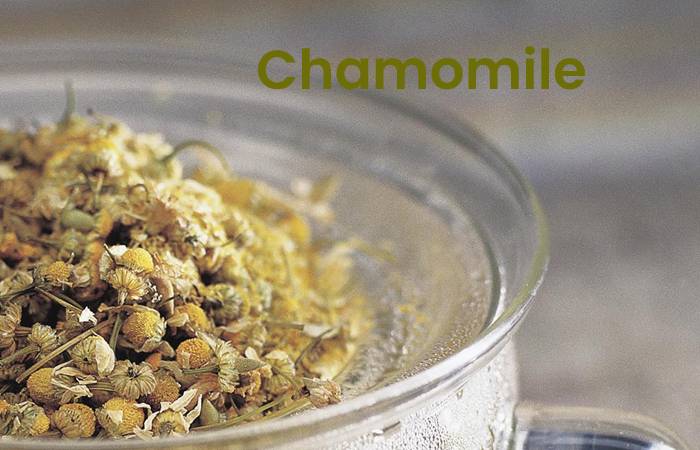 chamomile