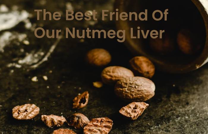 The Best Friend Of Our Nutmeg Liver