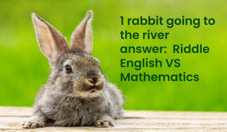 1 rabbit going to the river answer Riddle English VS