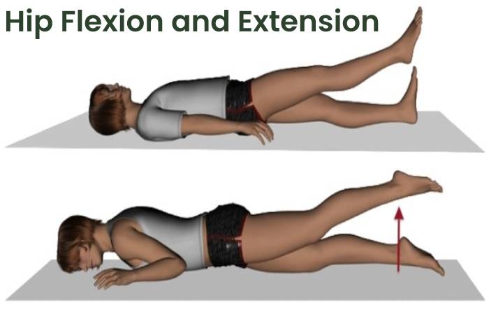 Hip Flexion